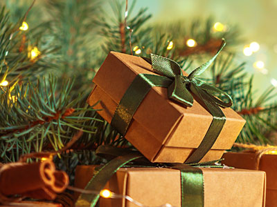 HARVEY team Christmas gift guide