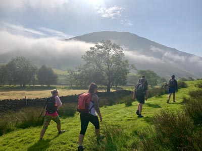 Wellbeing walks