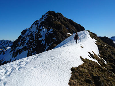 Munros Book Review