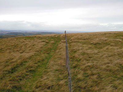 Cheviot Hills 3