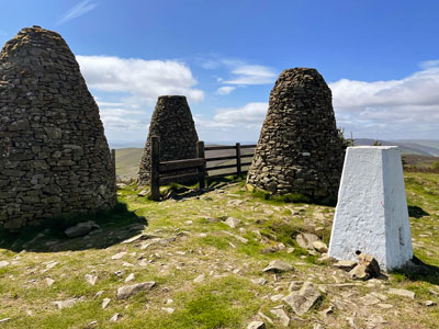 Munros Book Review