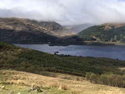 Ben Lomond view