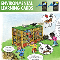 Teaching cards